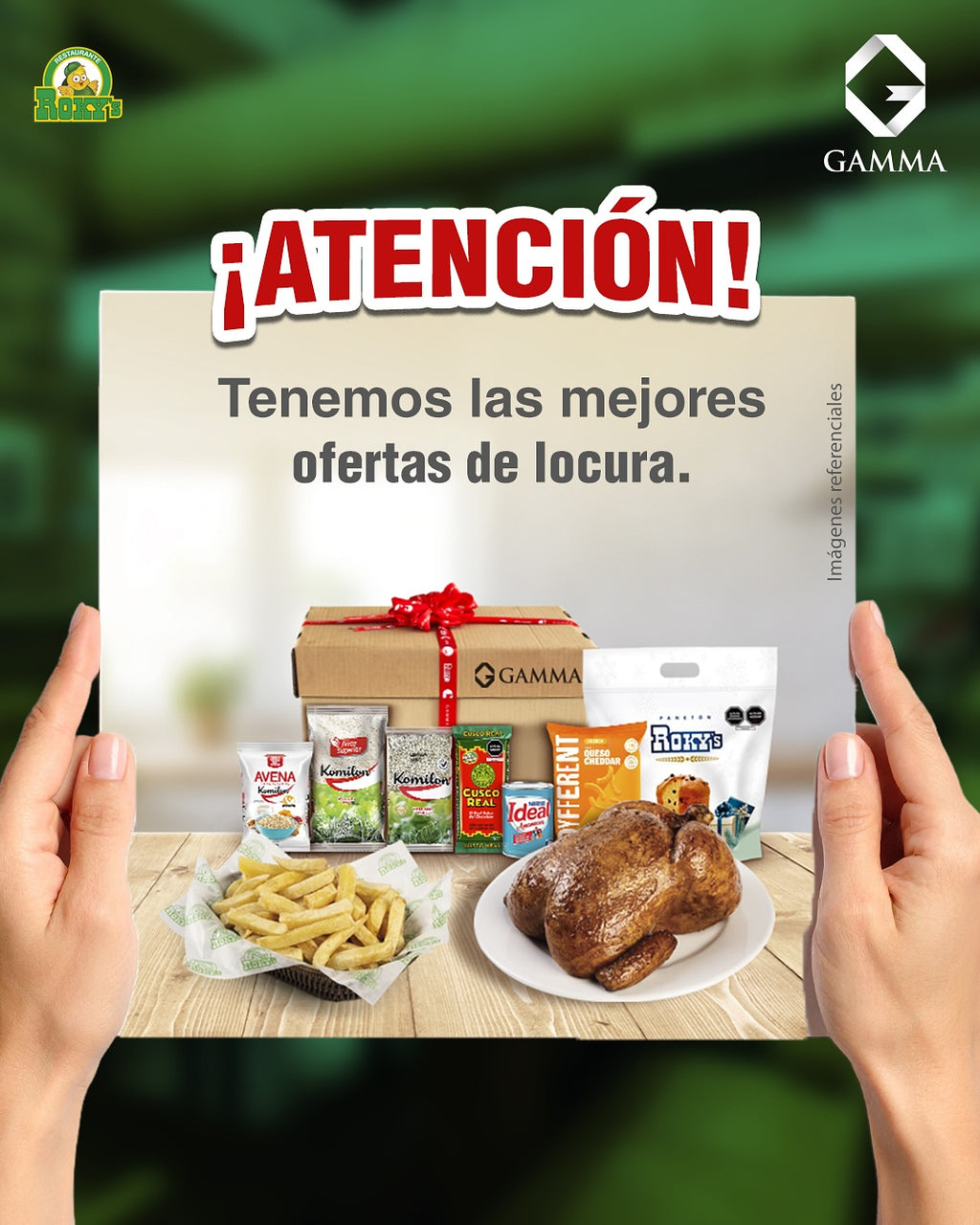 VALE ROCKY'S + GAMMA